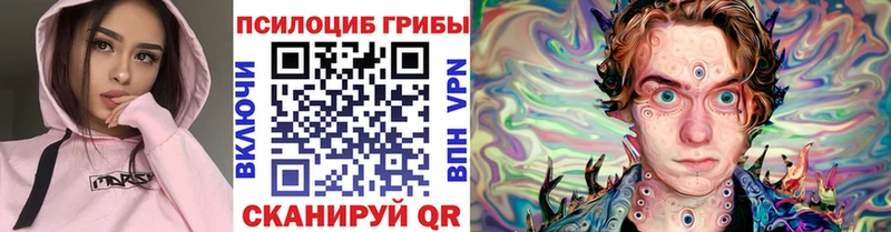 Галлюциногенные грибы прущие грибы  Енисейск 